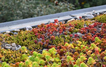 the cost of Noahs Ark green roof installation