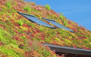 Noahs Ark living roof systems
